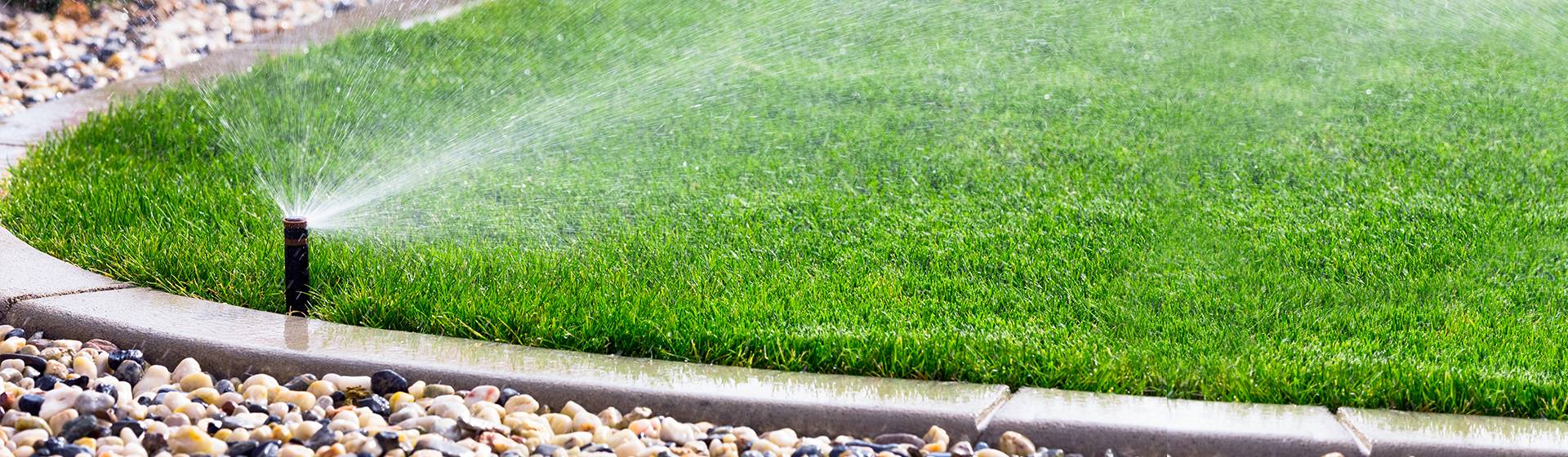 Nawadnianie trawy